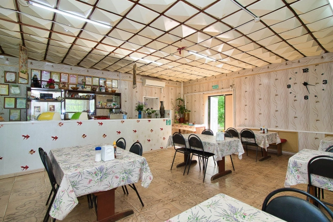 Купить общепит в Собинке. Вариант № 47812, 20, площадь -  квм, цена 20000000 рублей