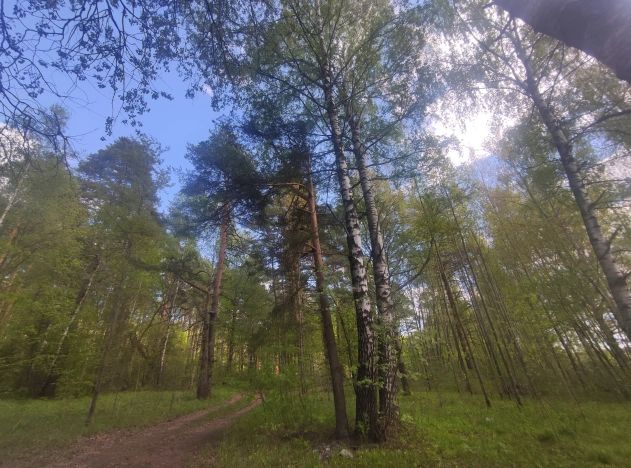 Купить земельный участок на улице Загородная в Ярославской области. Вариант № 1201656, 23, площадь -  квм, цена 1800000 рублей