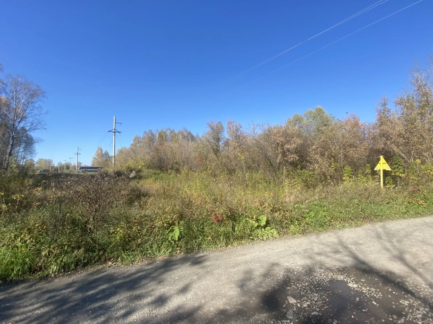 Купить земельный участок на улице Яминская в Алтайском крае. Вариант № 16093, 7, площадь -  квм, цена 11000000 рублей