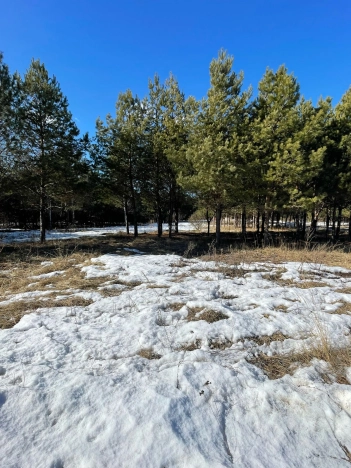 Купить земельный участок на улице Солнечная в Республике Татарстан (татарстан). Вариант № 32075, 22, площадь -  квм, цена 14420000 рублей