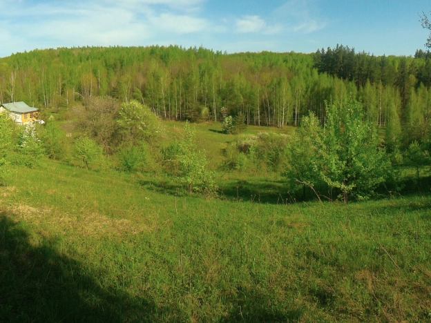 Купить земельный участок на улице Совхозная в Липецкой области. Вариант № 4885, 3, площадь -  квм, цена 150000 рублей