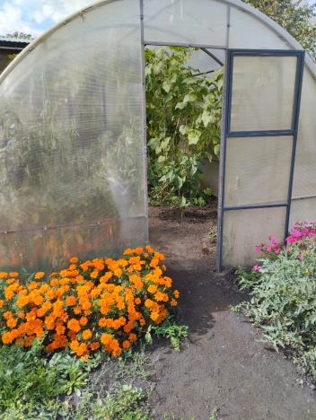 Купить дом в Омске. Вариант № 2790, 13, площадь -  квм, цена 650000 рублей