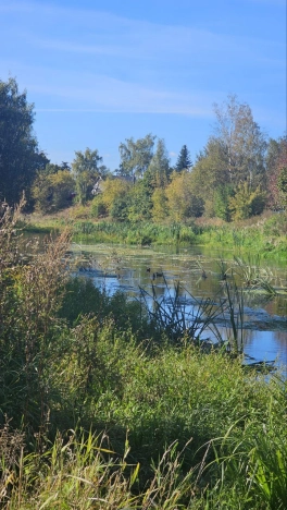 Купить земельный участок у метро Медведково в Королёве. Вариант № 13929, 1, площадь -  квм, цена 6000000 рублей