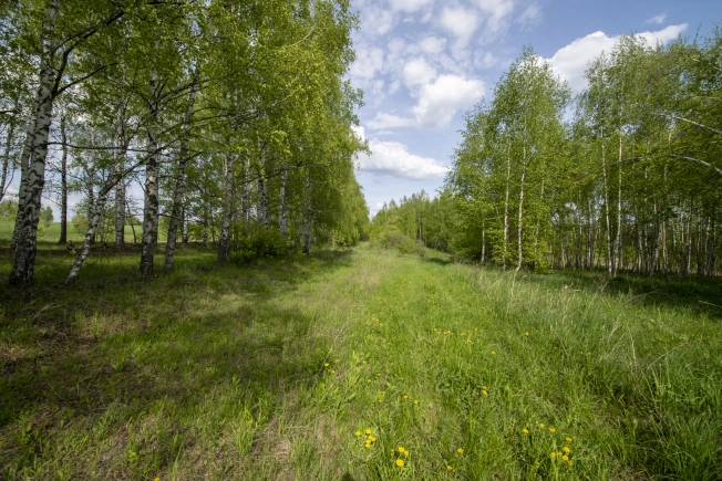 Купить земельный участок на улице Овражная в Нижегородской области. Вариант № 43313, 6, площадь -  квм, цена 700000 рублей