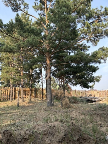 Купить дом в Республике Бурятия. Вариант № 10467543, 7, площадь - квм, цена 5950000 рублей