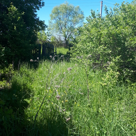 Купить дом на улице Чапаева в Нижегородской области. Вариант № 2064, 5, площадь -  квм, цена 380000 рублей