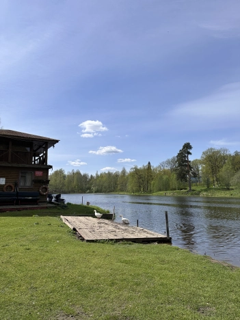 Купить земельный участок в Новгородской области. Вариант № 44811, 8, площадь -  квм, цена 6600000 рублей