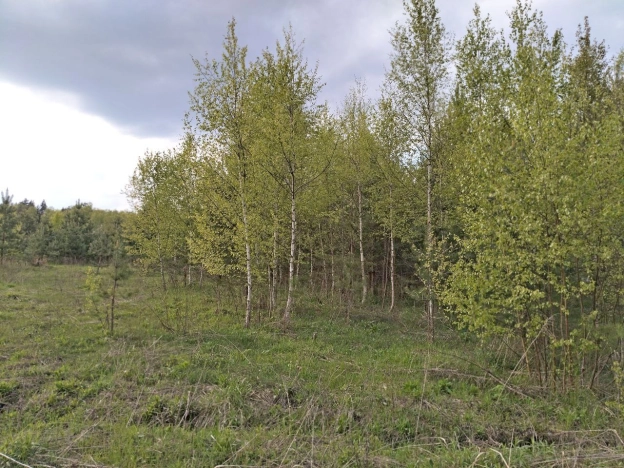 . Вариант № 4644, 4, площадь -  квм, цена 820000 рублей