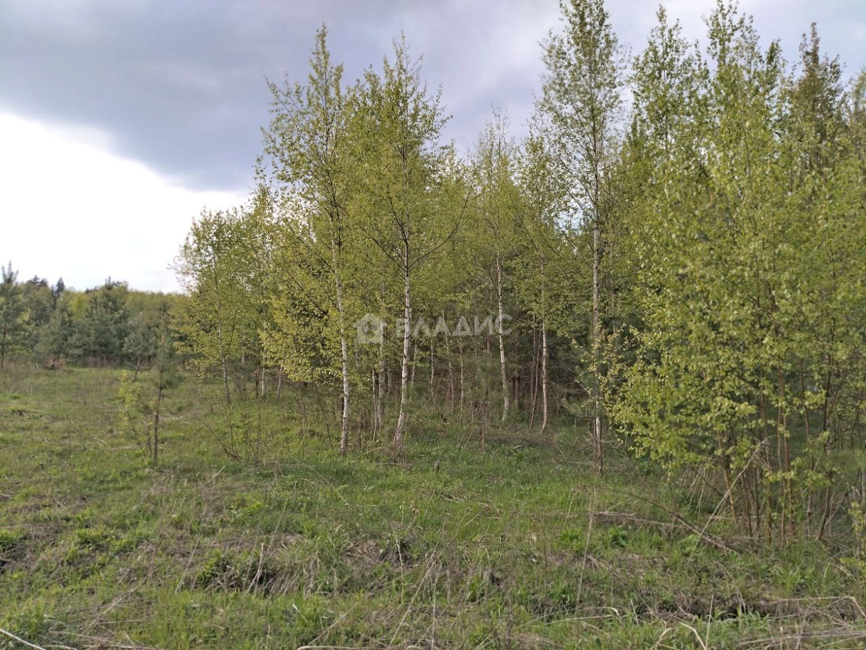 Photo https://36000382-a1c2-4a8a-a109-3fc3bfc73cf7.selcdn.net/App/Entity/ObjectRealty/ObjectRealty/NB/fe1cf385-6bfd-430a-b0d9-49ef1b1fec8c/AlBFb6R6pfxpPZNMGY7VsBlmByt1dJi9t6FdaerJ.jpg.compressed.webp