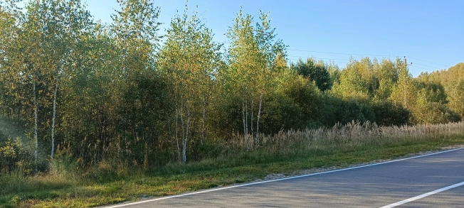 Купить земельный участок в Коврове. Вариант № 25889, 2, площадь -  квм, цена 390000 рублей