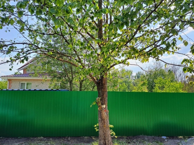 Купить дом в Белгороде. Вариант № 5263, 8, площадь -  квм, цена 6900000 рублей