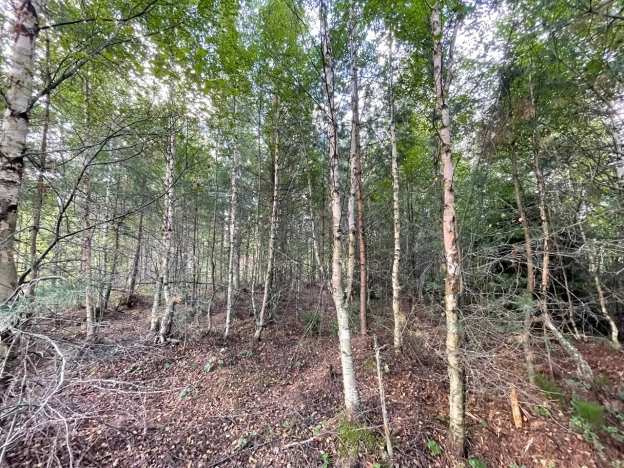 Купить земельный участок в Санкт-Петербурге. Вариант № 2334046, 0, площадь -  квм, цена 7300000 рублей