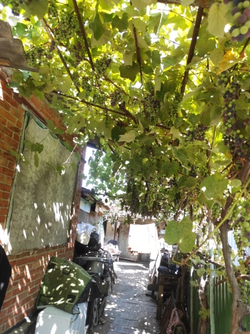 Купить дом на улице Гранатовая в Краснодарском крае. Вариант № 2883859, 6, площадь -  квм, цена 5200000 рублей