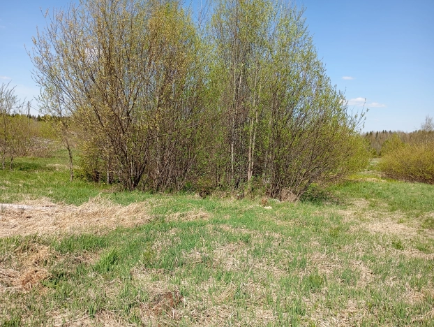 Купить земельный участок в Республике Коми. Вариант № 46055, 6, площадь -  квм, цена 240000 рублей