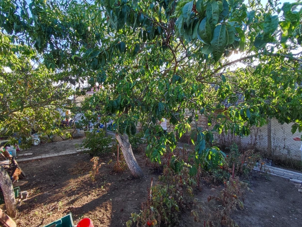 Купить дом на улице Гранатовая в Краснодарском крае. Вариант № 3022834, 15, площадь -  квм, цена 4850000 рублей