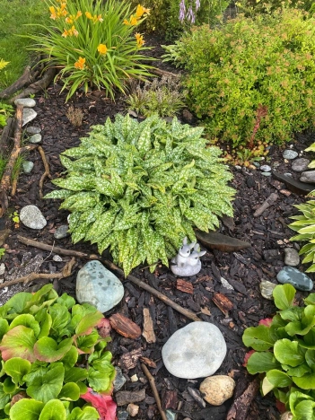 Купить дачу в Новосибирске. Вариант № 10249665, 3, площадь -  квм, цена 4500000 рублей