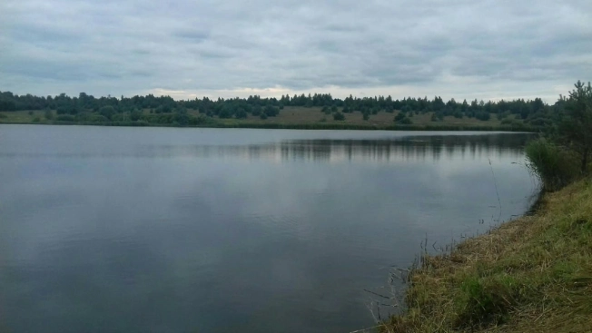 Купить земельный участок на улице 1 Мая в Нижегородской области. Вариант № 25537, 3, площадь -  квм, цена 38000000 рублей