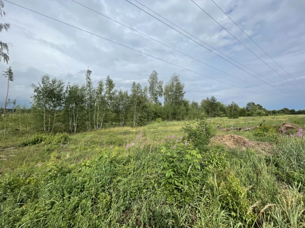 Купить земельный участок в Воронеже. Вариант № 56500, 0, площадь -  квм, цена 3000000 рублей