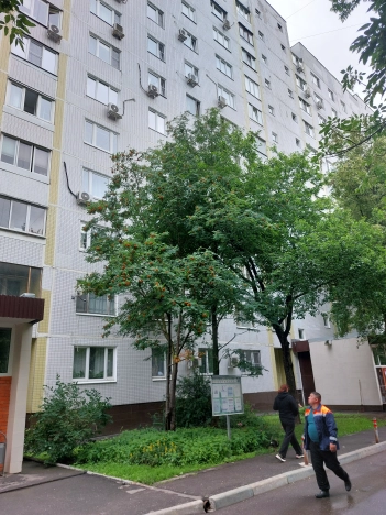 Купить квартиру в Москве. Вариант № 56184, 24, площадь - квм, цена 24000000.0000 рублей