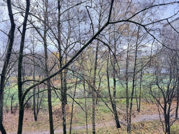 Купить квартиру в Москве. Вариант № 8056668, 14, площадь - квм, цена 16300000 рублей