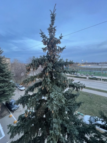 Купить двухкомнатную квартиру в Октябрьском. Вариант № 7078, 19, площадь -  квм, цена 4300000 рублей