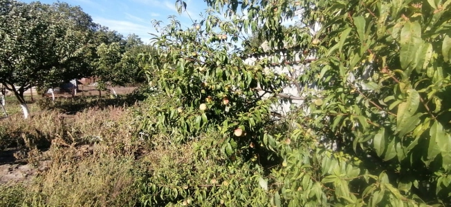 Купить дом на улице Васильковая в Краснодарском крае. Вариант № 4885573, 8, площадь -  квм, цена 1550000 рублей