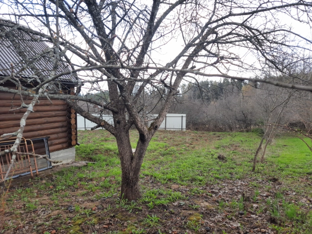 Купить дачу на улице Фрунзе в Владимирской области. Вариант № 2334071, 13, площадь -  квм, цена 1000000 рублей