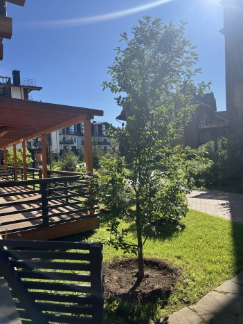 . Вариант № 2477482, 32, площадь - 128 квм, цена 26000000 рублей