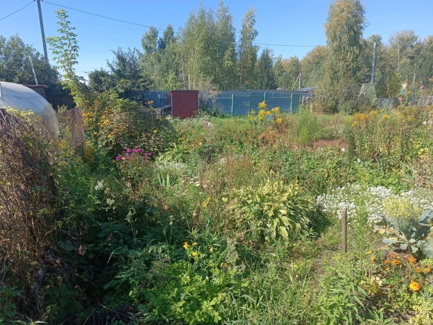 Купить земельный участок в Искитиме. Вариант № 2932860, 6, площадь -  квм, цена 700000 рублей