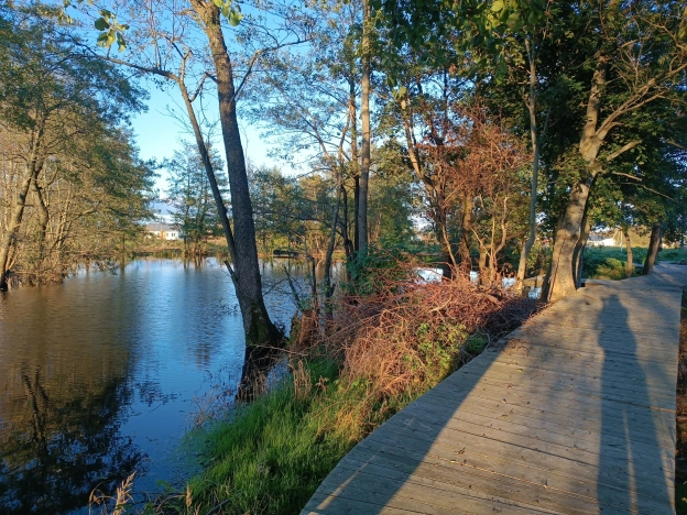 Купить земельный участок в Калининграде. Вариант № 7229633, 2, площадь -  квм, цена 1150000 рублей