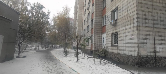 . Вариант № 6696036, 12, площадь - 25.1 квм, цена 2850000 рублей