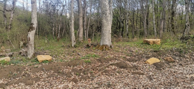 Купить земельный участок на улице Заречная в Республике Адыгея (адыгея). Вариант № 10466131, 1, площадь -  квм, цена 8500000 рублей