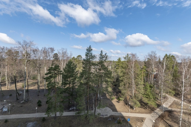 Купить однокомнатную квартиру на вторичке на улице 2-й Фабричный проезд в Пушкине. Вариант № 25981, 25, площадь -  квм, цена 6100000 рублей