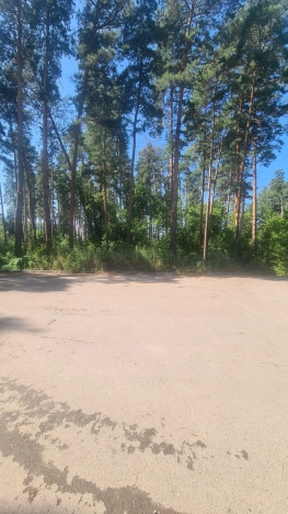 Купить двухкомнатную квартиру в Бийске. Вариант № 34652, 18, площадь -  квм, цена 2699000 рублей