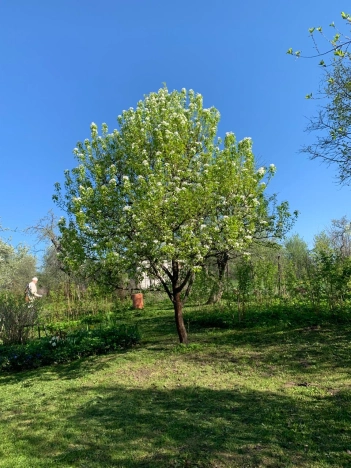 Купить дом в Калуге. Вариант № 8607, 22, площадь -  квм, цена 2400000 рублей