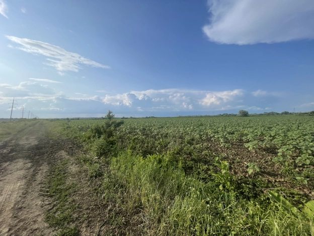 Купить земельный участок в Краснодаре. Вариант № 51604, 0, площадь -  квм, цена 2200000 рублей