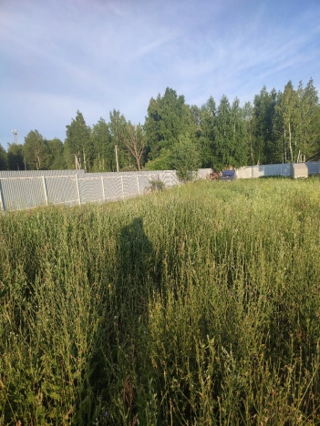 Купить земельный участок в Новосибирске. Вариант № 57790, 0, площадь -  квм, цена 1800000 рублей