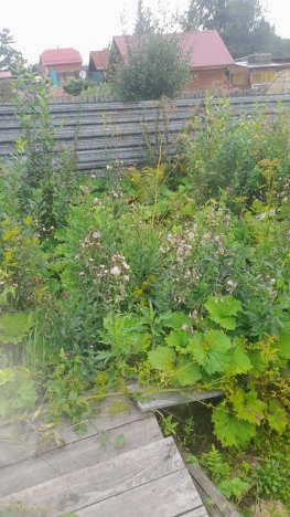 Купить земельный участок в районе Советский в Новосибирске. Вариант № 8091, 7, площадь - квм, цена 730000 рублей