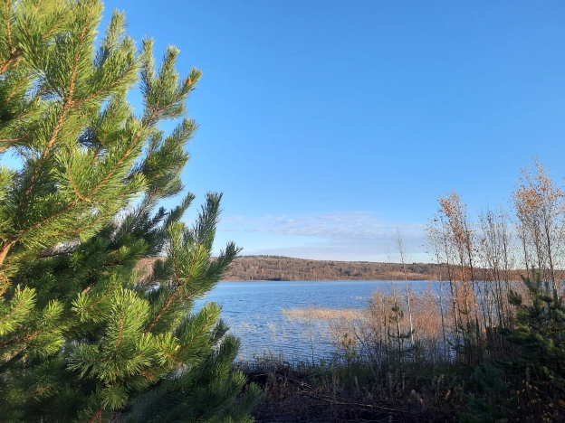 Купить земельный участок на улице Цветочная в Республике Карелия. Вариант № 2120899, 3, площадь -  квм, цена 880000 рублей