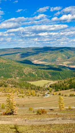 Купить земельный участок на улице Яминская в Алтайском крае. Вариант № 20735, 1, площадь -  квм, цена 6800000 рублей