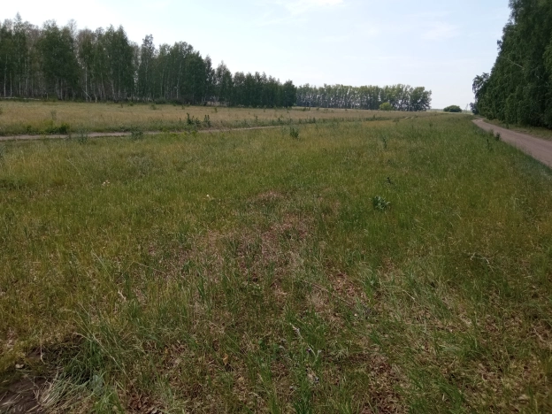 Купить земельный участок в Микрорайоне Московка-2 в Омске. Вариант № 2735, 0, площадь -  квм, цена 350000 рублей