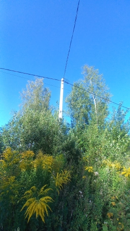 Купить земельный участок в районе Октябрьский в Владимире. Вариант № 2069481, 0, площадь -  квм, цена 1470000 рублей