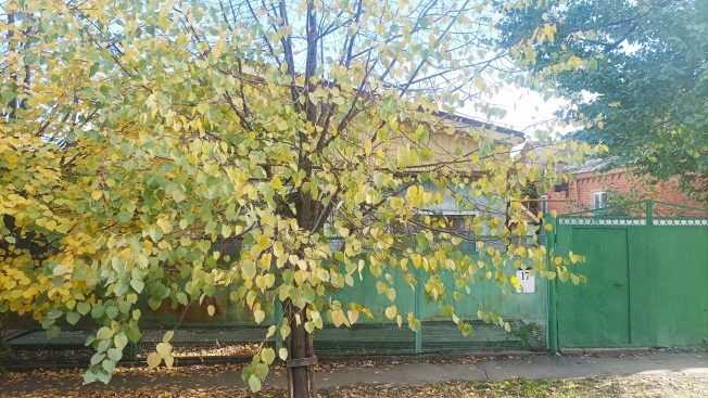 Купить дом в Краснодаре. Вариант № 16617, 19, площадь - квм, цена 7550000.0000 рублей