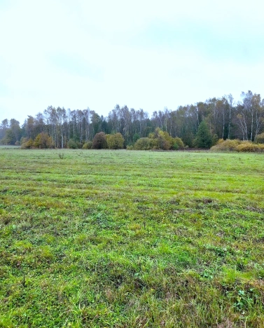 Купить земельный участок в Москве. Вариант № 9436036, 1, площадь -  квм, цена 49800000 рублей