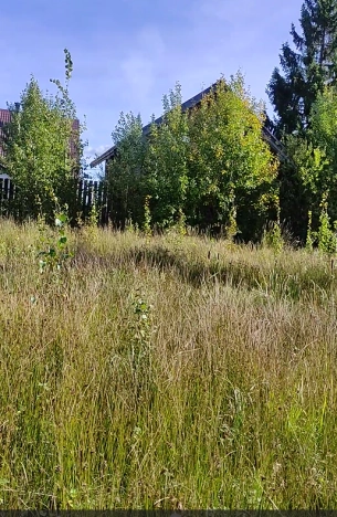 Купить земельный участок в Санкт-Петербурге. Вариант № 14134, 7, площадь -  квм, цена 4350000 рублей