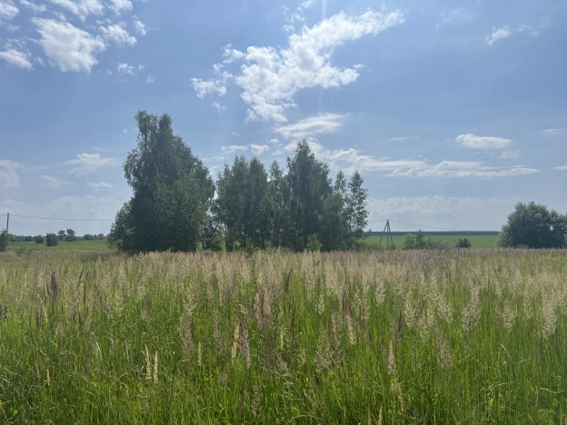 Купить земельный участок в Коломне. Вариант № 10019, 1, площадь -  квм, цена 350000 рублей