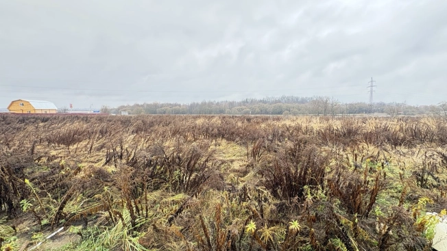 Купить дом в Москве. Вариант № 9569402, 6, площадь -  квм, цена 15656000 рублей