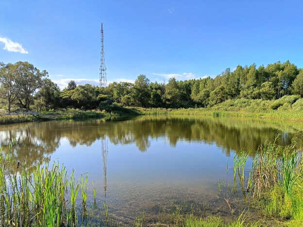 Купить дачу в Воскресенске. Вариант № 2743515, 11, площадь -  квм, цена 1210000 рублей
