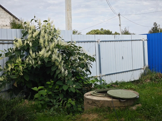 Купить дом в Калуге. Вариант № 14265, 10, площадь -  квм, цена 10450000 рублей