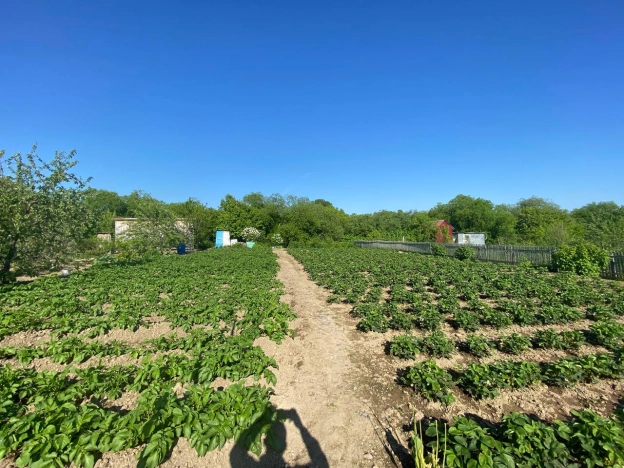 Купить дачу в Южно-Сахалинске. Вариант № 11054, 11, площадь -  квм, цена 3600000 рублей